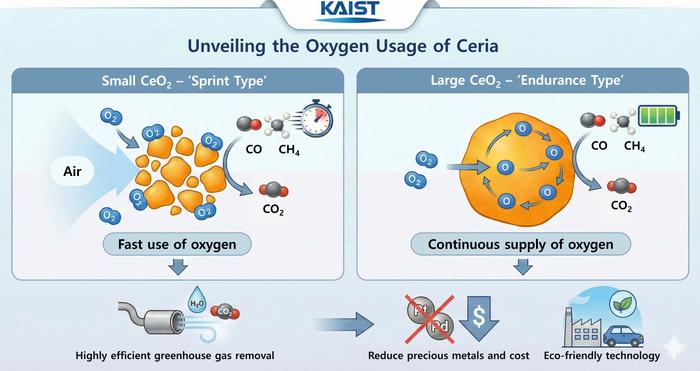 Unveiling the Oxygen Usage of Catalysts to Eliminate Greenhouse Gases Views​