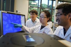 NUS researchers develop novel material for water quality monitoring device (photo 2)