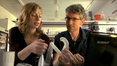 Hebrew University of Jerusalem and Hadassah Medical Center Biodesign Program