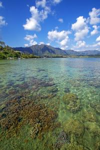 Kaneohe Bay and Coral