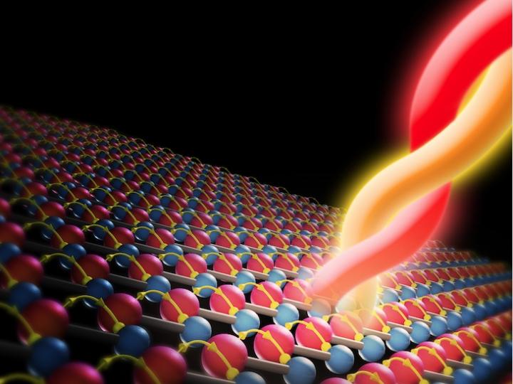 Weyl Semimetal Yields Colossal Photocurrent