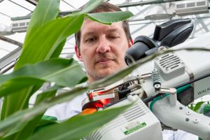 CO2 uptake analysis