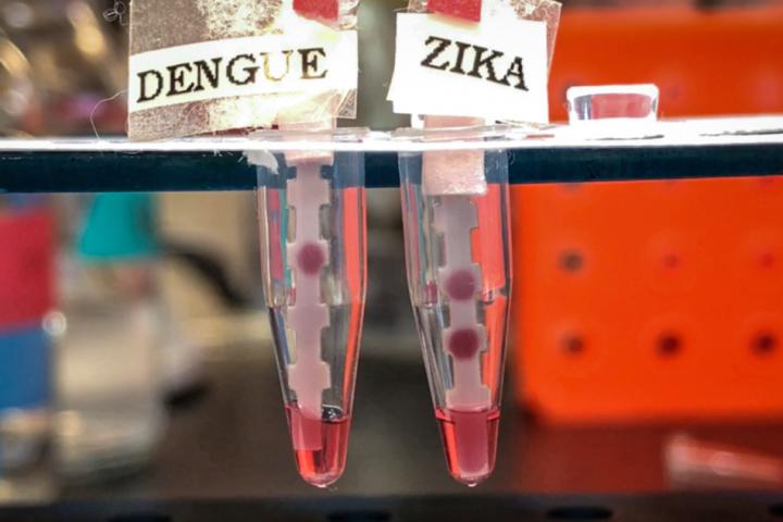 Zika Test