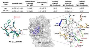 Discovery of the Antiviral Activity of Ac-Tβ1-17