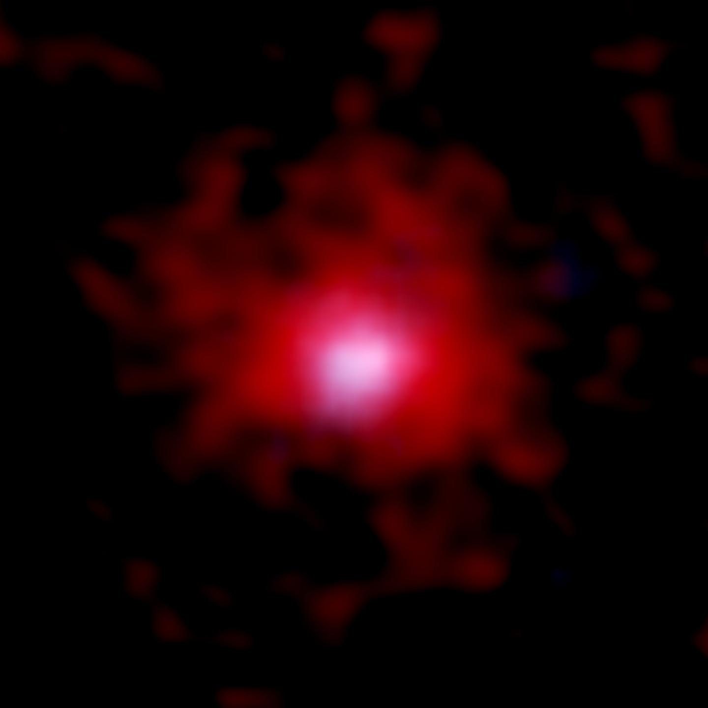 ALMA and NASA/ESA Hubble Space Telescope (HST) Young Galaxy Surrounded by a Gaseous Carbon Cocoon