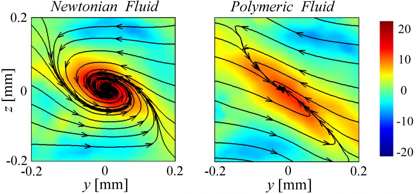 Vortices