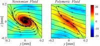 Vortices