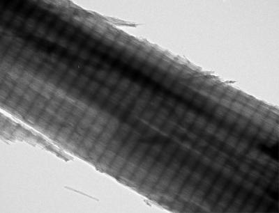 Carbon Nanofibers