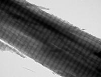 Carbon Nanofibers