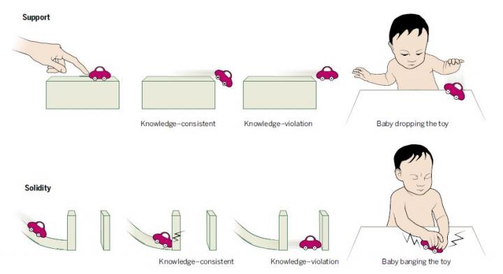 Objects that Defy Infants' Expectations Shape Learning (3 of 3)