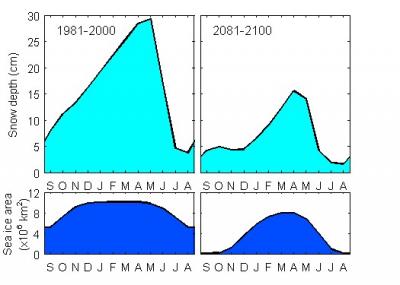 Sea Ice Area and Snow Depth in the Arctic, 1981 - 2100