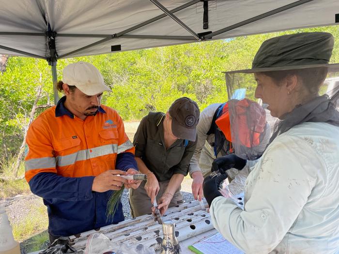 Analysing sediment samples