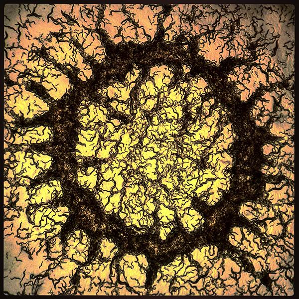 BioArt Winner 2015 Brown and Biron