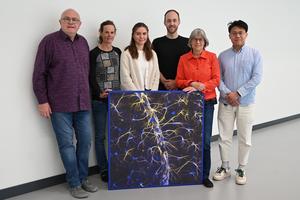 Study authors from HHU
