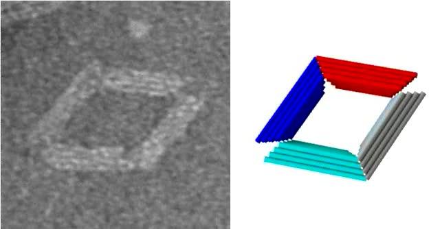 Hinged Nano-Machine