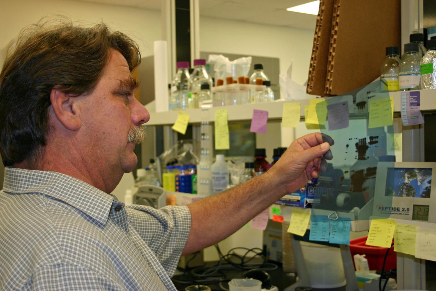 Citrus Greening Research