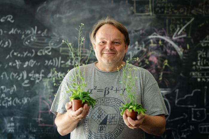 ISTA professor Jiří Friml with two arapidopsis plants