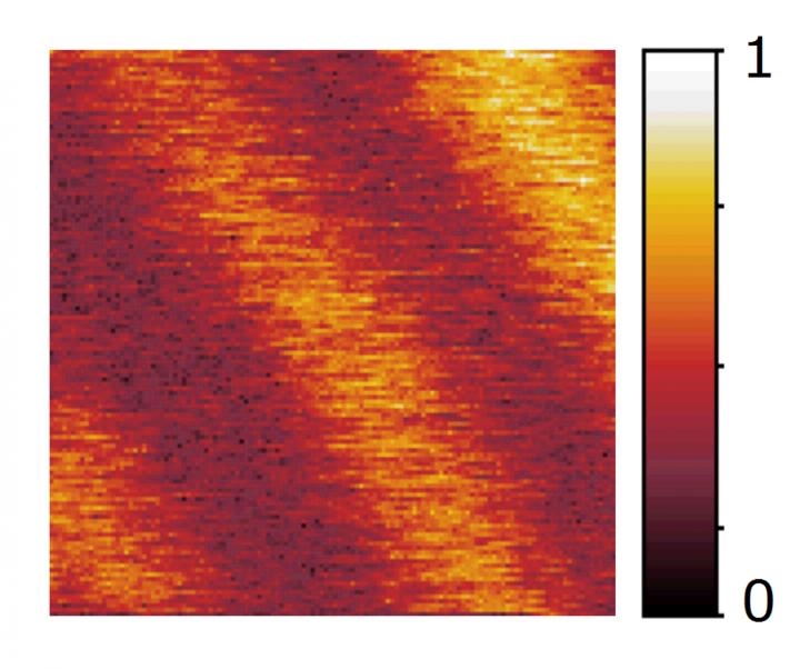 Novel Nanoscope Suitable for Viewing Ultra-Fast or Slow Processes