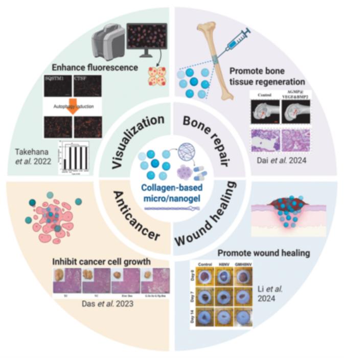 Applications of collagen-based microgel/nanogel systems