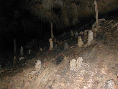 Caltech Researchers Use Stalagmites to Study Past Climate Change