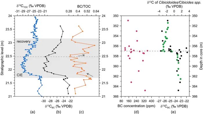 The BC concentrations and δ13C records across the PETM interval for the Xilutian section of the Fushun Basin and the Bass River site (New Jersey, ODP Leg 174AX).