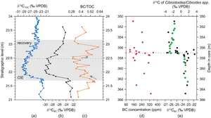 The BC concentrations and δ13C records across the PETM interval for the Xilutian section of the Fushun Basin and the Bass River site (New Jersey, ODP Leg 174AX).