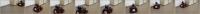 Filmstrip