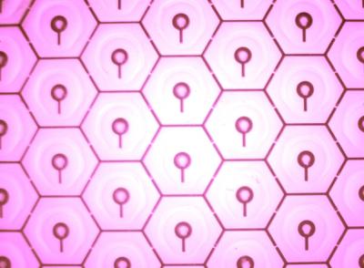 Pixel Structure