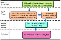 AOP, Adverse Outcome Pathway