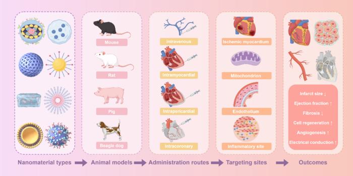 Fig. 2. Schematic overview of nanomaterial-based strategies for MIRI therapy.