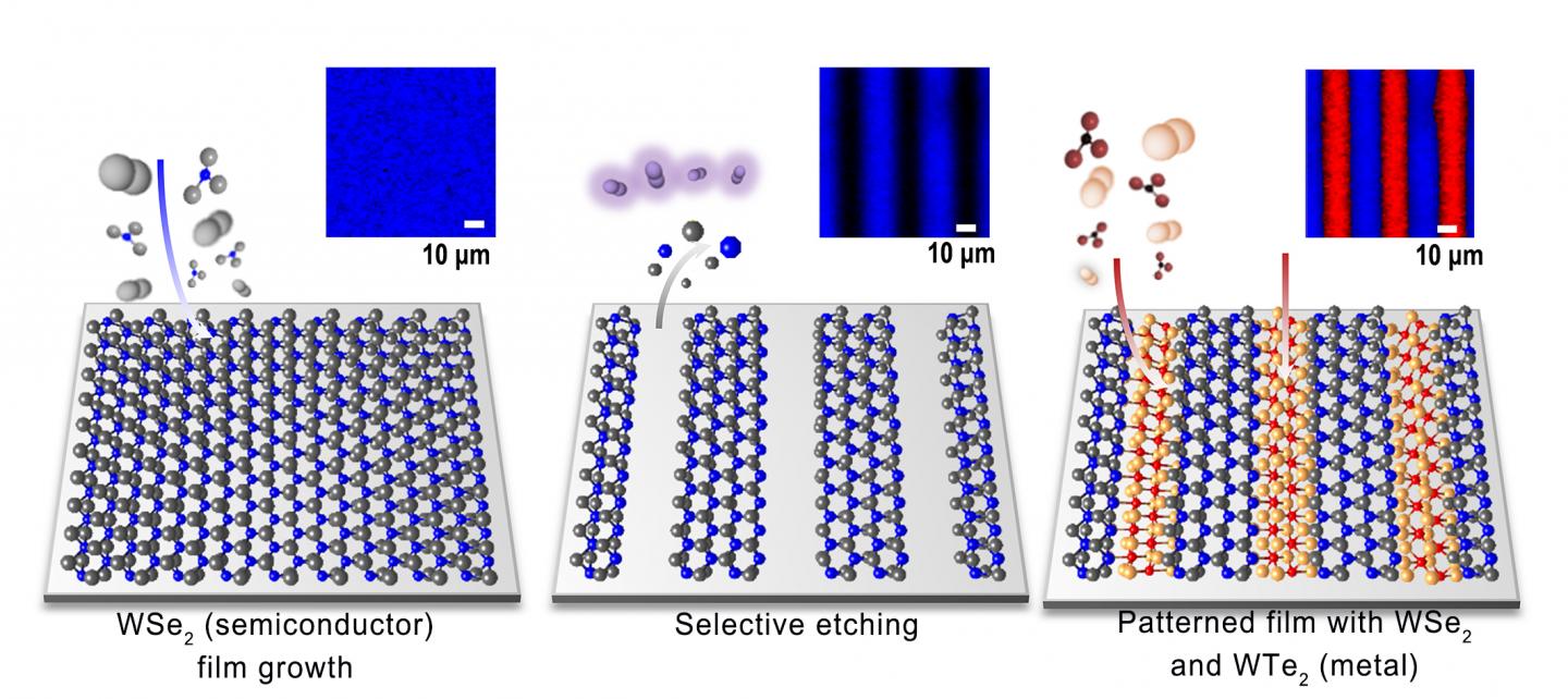 Tungsten Diselenide (WSe2) Alternated with Tungsten Ditelluride (WTe2) can be Integrated to Form 2-D