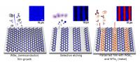 Tungsten Diselenide (WSe2) Alternated with Tungsten Ditelluride (WTe2) can be Integrated to Form 2-D