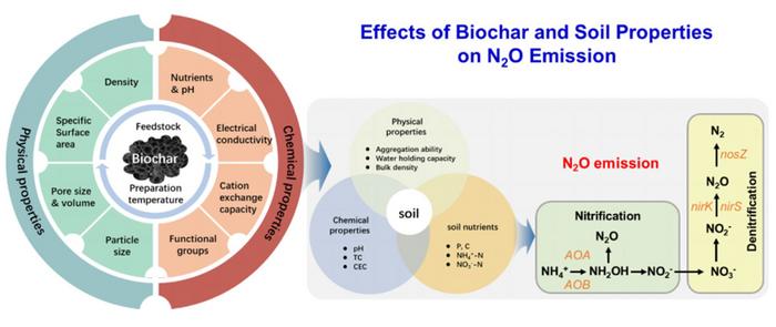 Biochar reduces N2O emission from fertilized cropland soils: a meta-analysis