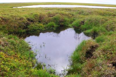 Thermokarst Lakes