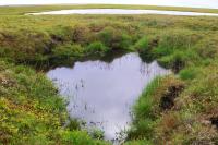 Thermokarst Lakes