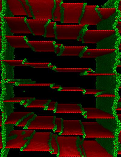 Defective Twin Boundaries in Nanotwinned Copper