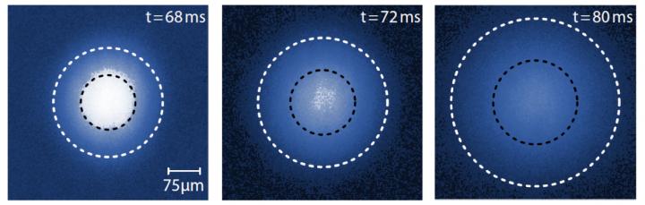 Quantum Particles
