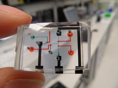 NeuroChip (1 of 2)