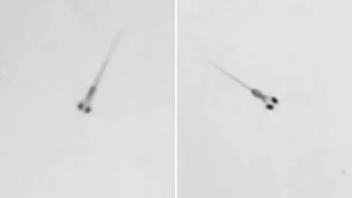 Neural microexons - hyperarousal