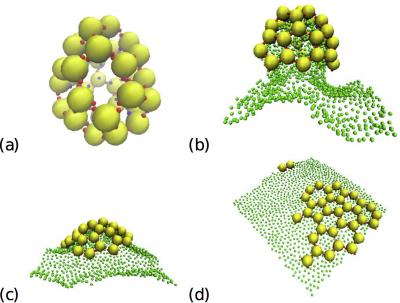 Self-assembly Process