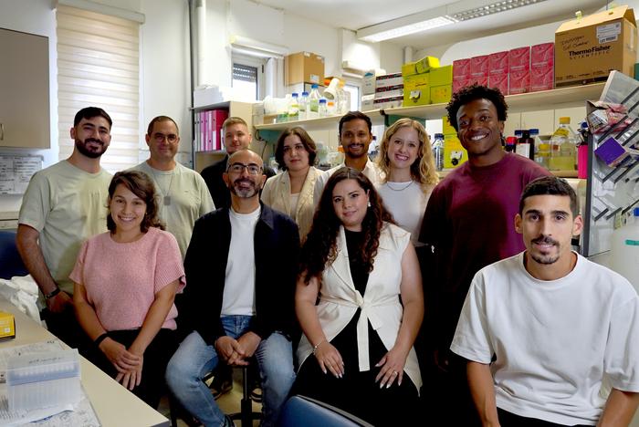 Research Team