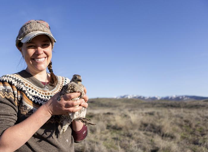 Stephanie Galla and sharp-tailed grouse.