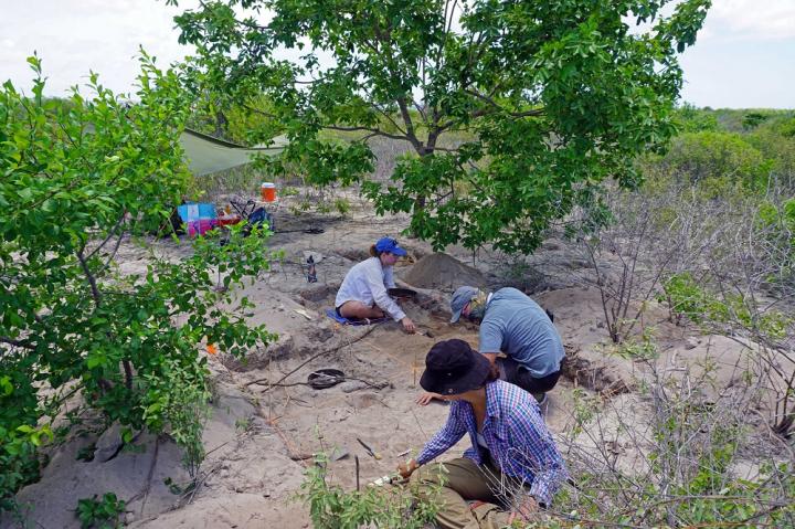 Excavations on the island of Klein Bonaire