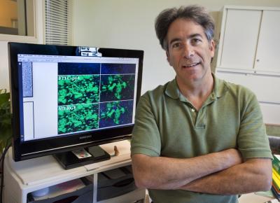 Paul Yaswen, DOE/Lawrence Berkeley National Laboratory