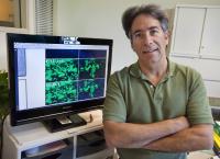 Paul Yaswen, DOE/Lawrence Berkeley National Laboratory