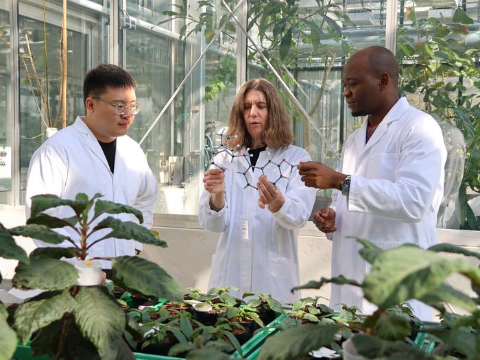 Tingan Zhou, Sarah O’Connor and Blaise Kimbadi