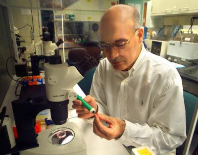 Dr. Ali Eroglu