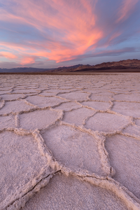 Salt Desert