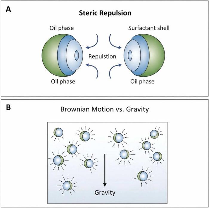 Fig. 2. Schematic illustration of the primary stability mechanisms in nanoemulsions.