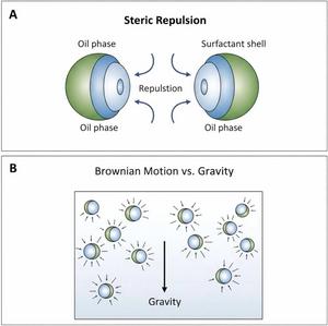 Fig. 2. Schematic illustration of the primary stability mechanisms in nanoemulsions.